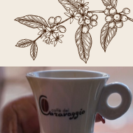 Progetto caff&egrave; di qualit&agrave;