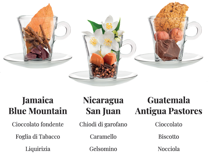 Sentori e retrogusti del caff&egrave;